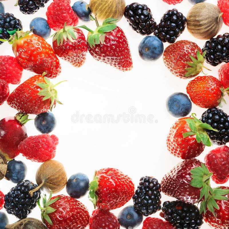 Many different berries in the form of a frame on a white background. vector illustration