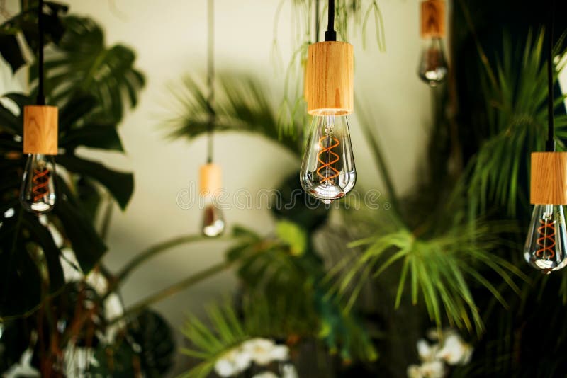 Edison Bulbs in Hand. Electricity Equipment Stock Image Image of home