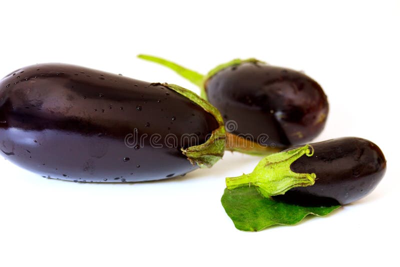 Many Eggplants,isolated on White,with Leaves Stock Photo Image of