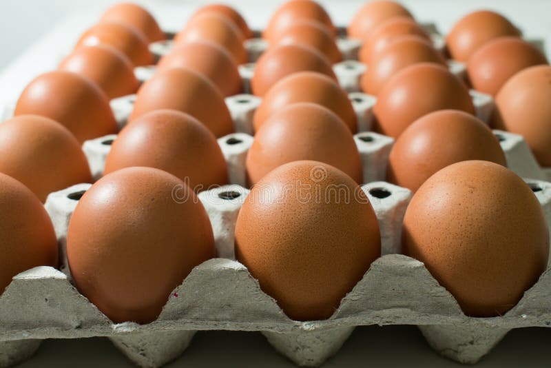 Tray of fresh eggs stock image. Image of ingredients 14855715