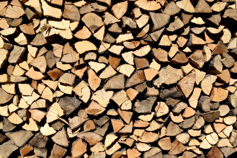 Many fire woods trunk stock photo