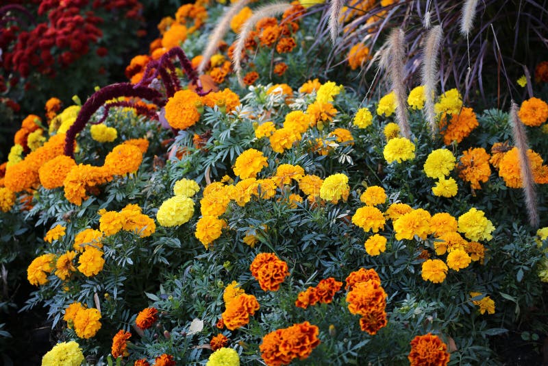 Anna Vlasova Annavlasova Photos