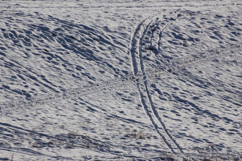Many Footprints, Ski and Sled Tracks on a Slope in the Snow Stock Image Image of snowy, damage