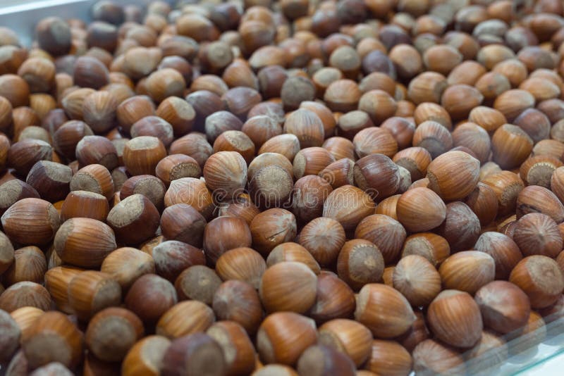 Many Hazelnuts Exposed inside a Large Container