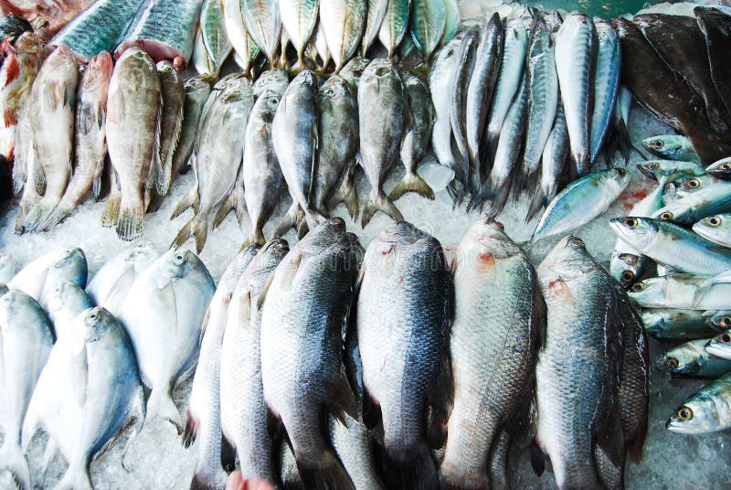 Many kind of fish in fresh market