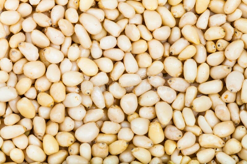 Many peeled pine seeds royalty free stock photo