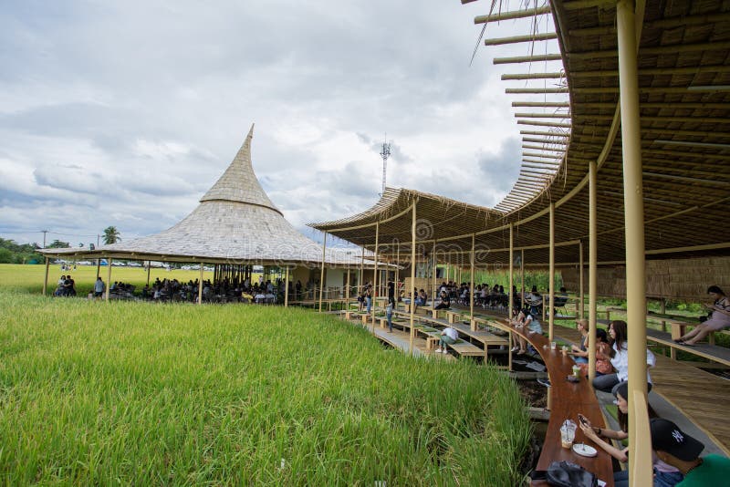 Nakhon Pathom Thailand 24 Aug 19 Many People Take A Rest At Chata Thammachart Coffee Cafe In A Rice Field In Concept Editorial Image Image Of Beautiful Asia Nakhon Pathom Thailand 24 Aug 19 Many People Take A Rest At Chata Thammachart Coffee Cafe In A Rice Field In Concept Editorial Image Image Of Beautiful Asia