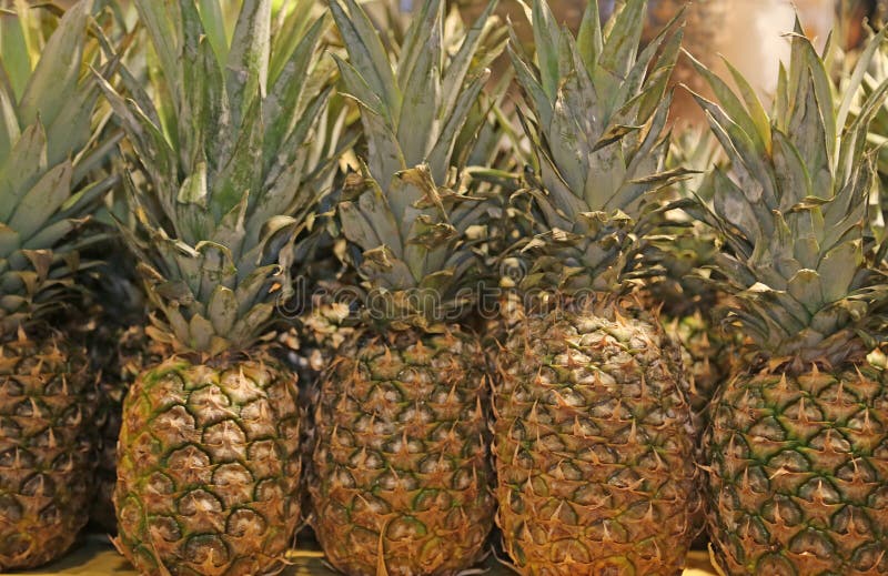 Many Pineapple for Sale in the Local Fruit Market Stock Photo Image