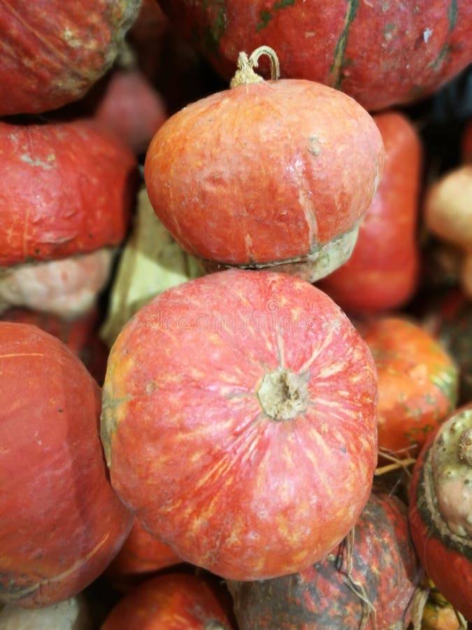 Many pumpkins on a farmers market stock image Many pumpkins on a farmers market stock image
