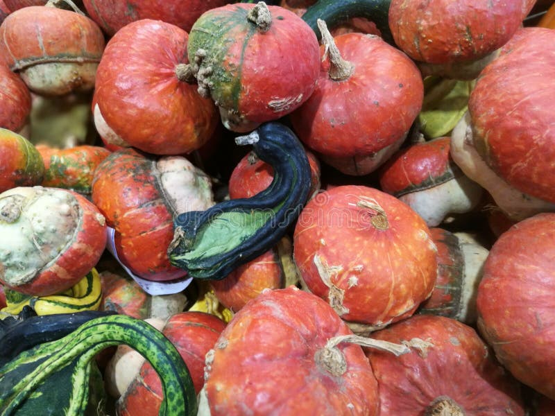 Many pumpkins on a farmers market royalty free stock images Many pumpkins on a farmers market royalty free stock images