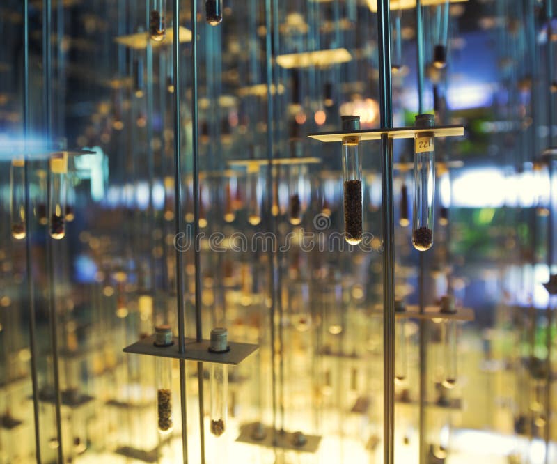 Many Test Tube Setup at Automatic Sample Concentrator Machine Device