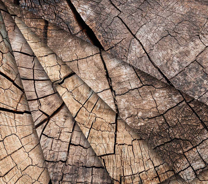 Many Tree stumps background. Mosaic of brown cracked and cut Wooden texture pattern background. stock photography Many Tree stumps background. Mosaic of brown cracked and cut Wooden texture pattern background. stock photography