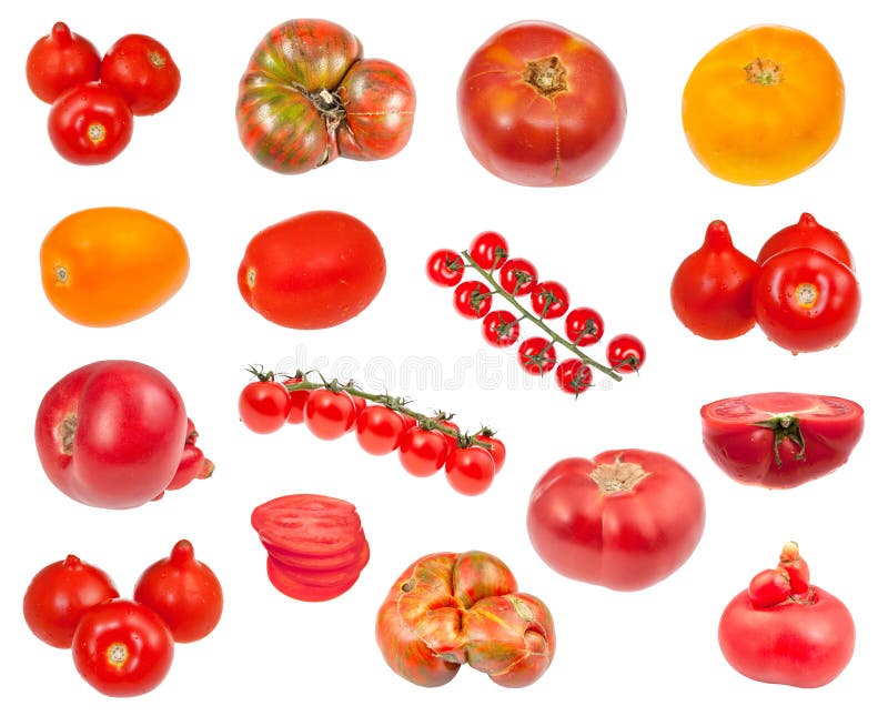 Many various fresh tomatoes isolated on white