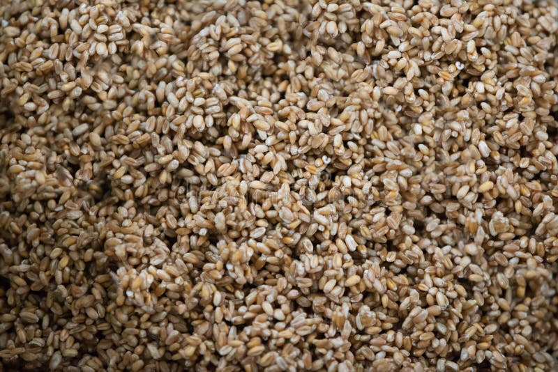 Whole rye grains stock image. Image of kasha, background 152524803