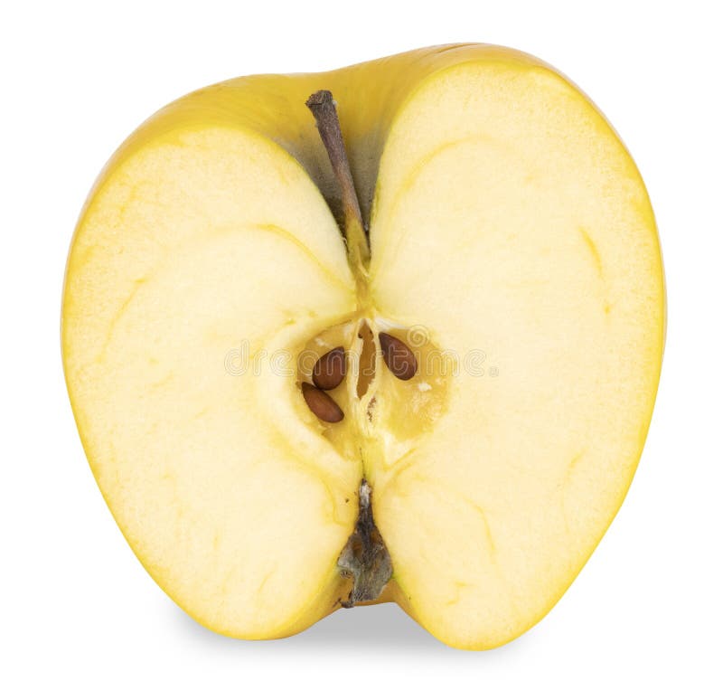 Yellow apple cut in half on a white background. Yellow apple cut in half on a white background