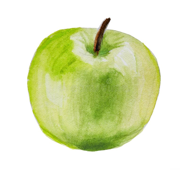 Manzana verde dibujada mano aislada en blanco libre illustration Manzana verde dibujada mano aislada en blanco libre illustration
