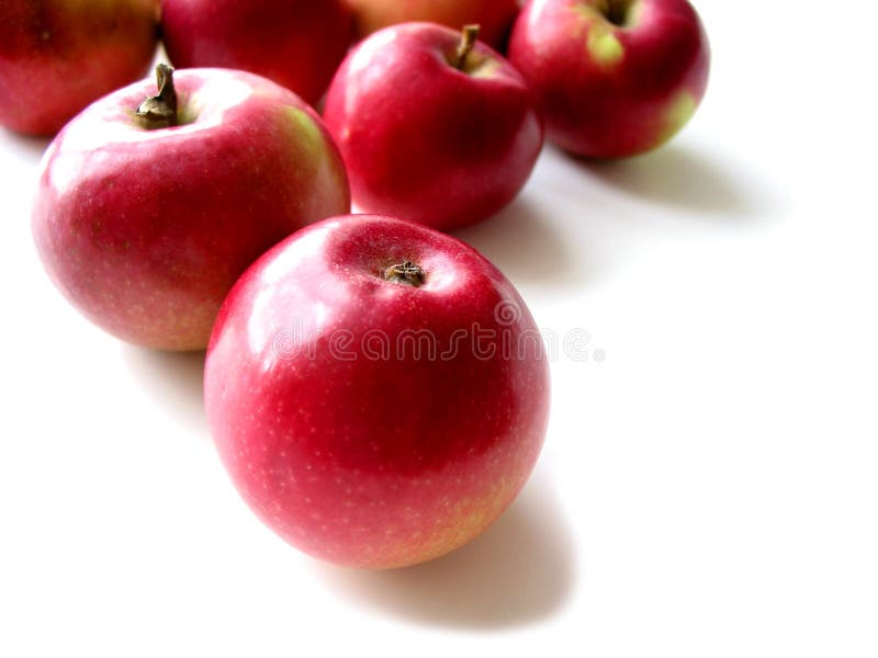 Macintosh apples on white background, closeup. Macintosh apples on white background, closeup