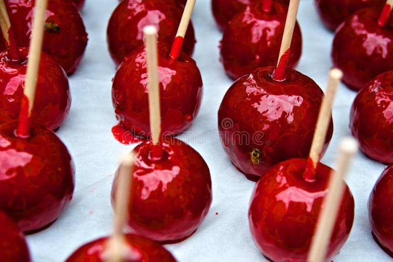 Red candy apples with bee stuck to the glaze photographed on white paper as a background. Red candy apples with bee stuck to the glaze photographed on white paper as a background