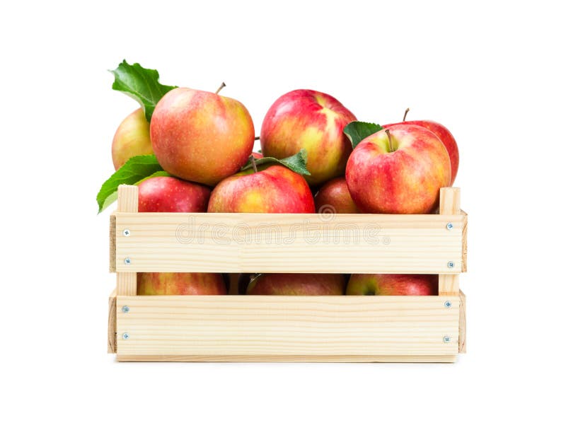 Manzanas en un rectángulo de madera fotografía de archivo libre de regalías Manzanas en un rectángulo de madera fotografía de archivo libre de regalías