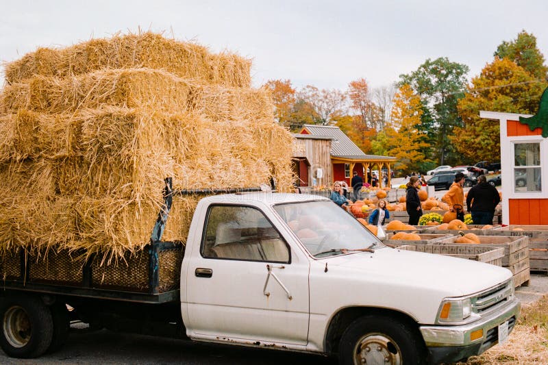 A weathered white pickup truck is stacked with bails of straw with customers paying for their pumpkins in the background on an overcast fall day at Mack's Apples - Londonderry, New Hampshire USA. Image was captured on analog color film. A weathered white pickup truck is stacked with bails of straw with customers paying for their pumpkins in the background on an overcast fall day at Mack's Apples - Londonderry, New Hampshire USA. Image was captured on analog color film