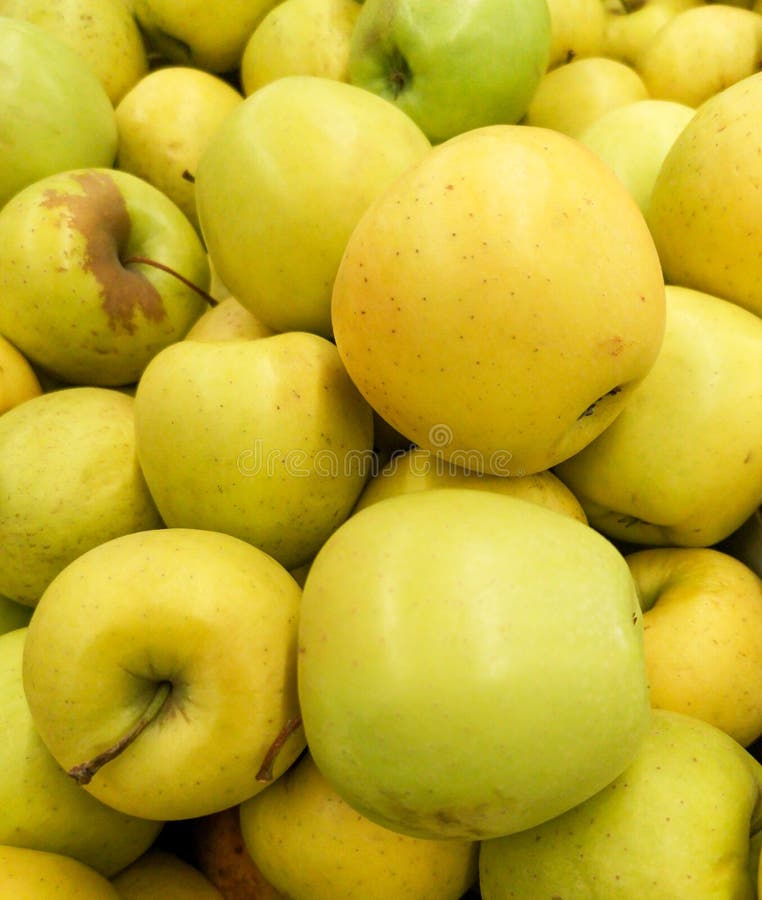 Manzanas maduras en la tienda como fondo foto de archivo libre de regalías Manzanas maduras en la tienda como fondo foto de archivo libre de regalías