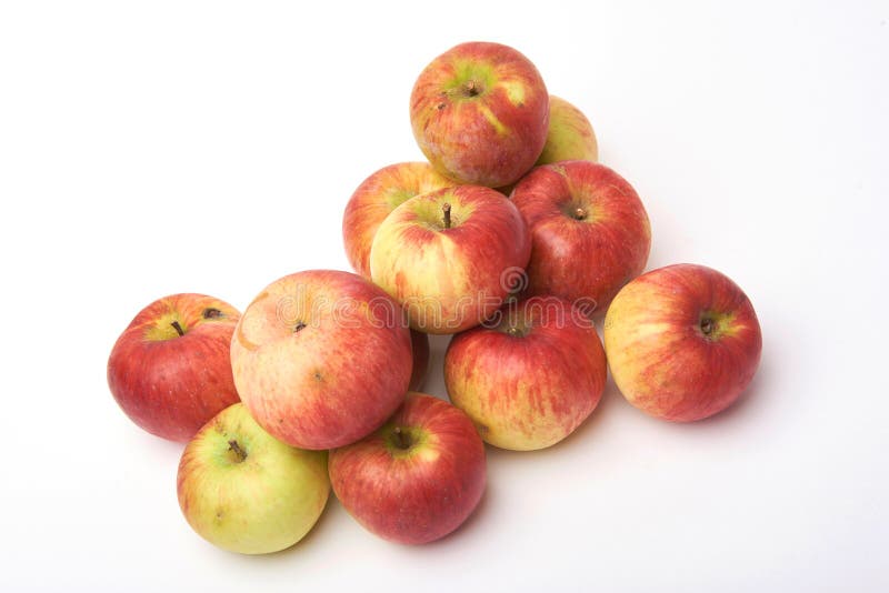 Manzanas naturales biológicas aisladas en el fondo blanco Crecido sin los fertilizantes y la química foto de archivo Manzanas naturales biológicas aisladas en el fondo blanco Crecido sin los fertilizantes y la química foto de archivo