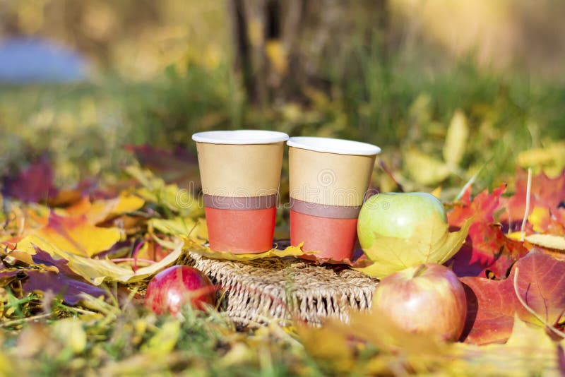 Manzanas y tazas de café en parque del otoño imagenes de archivo Manzanas y tazas de café en parque del otoño imagenes de archivo