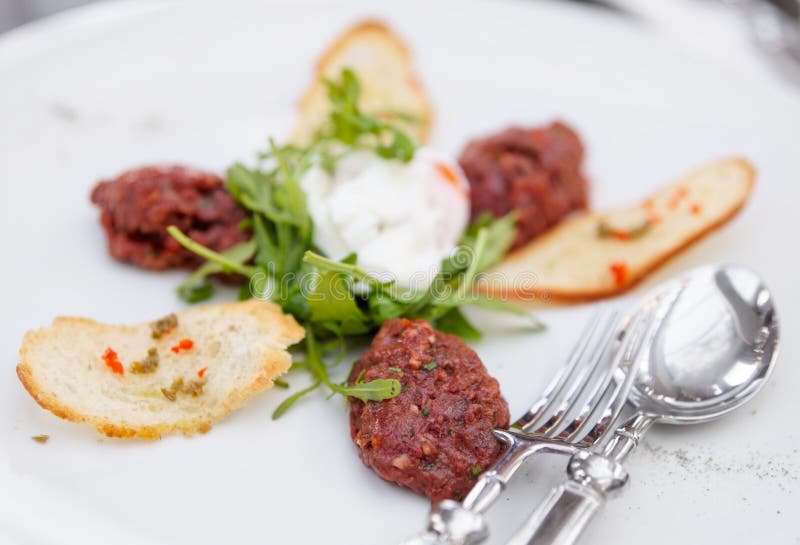 Manzo tartare immagine stock