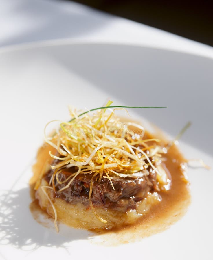 Manzo tartare in zolla fotografia stock