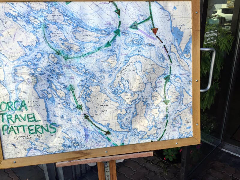 A Map of the Orca Whale Migratory Patterns in the Gulf Islands O