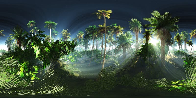 rainforest panorama video rainforest panorama video