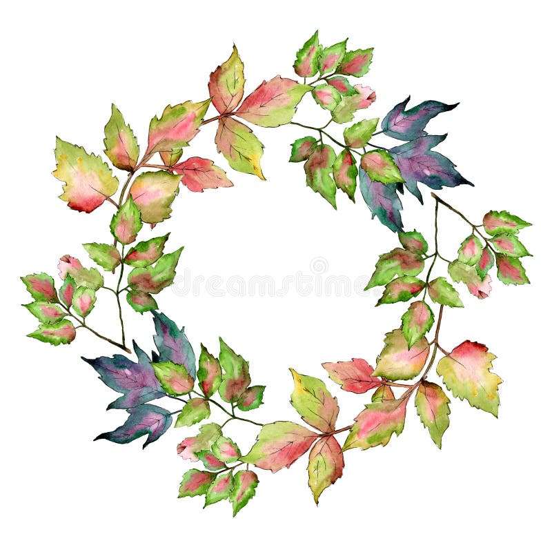 Maple colorful leaves. Leaf plant botanical garden floral foliage. Frame border ornament square.