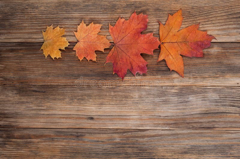 Autumn leaves  over old wooden background with copy space.Creative autumn aomposition.Minimalism.Flat lay,horizontal. Autumn leaves  over old wooden background with copy space.Creative autumn aomposition.Minimalism.Flat lay,horizontal