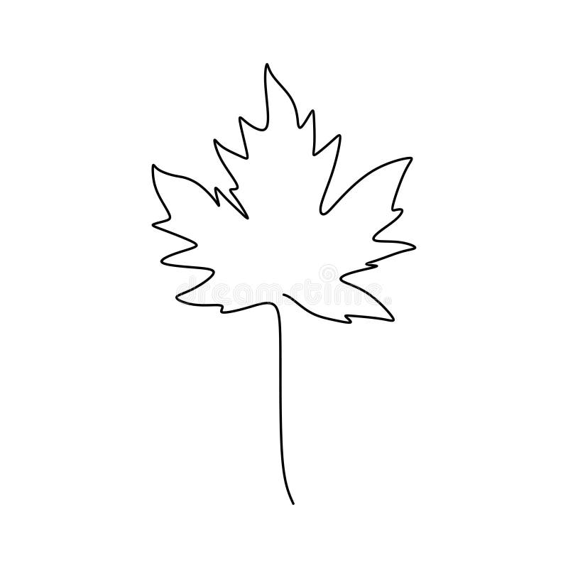 Maple leaf continuous one line drawing minimalism design