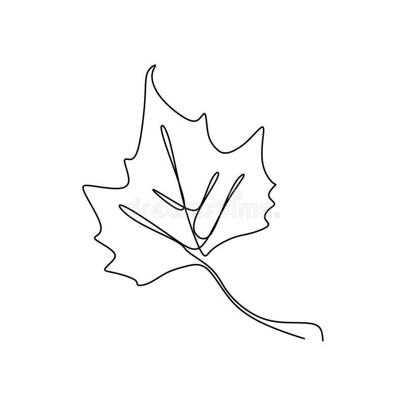 Ink Sketch Of Maple Leaf Stock Illustration - Download Image Now - Maple  Leaf, Vector, Sketch - iStock