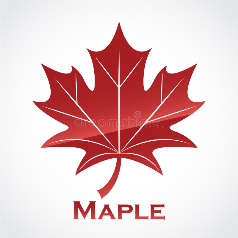 3+ Maple red logo Free Stock Photos StockFreeImages