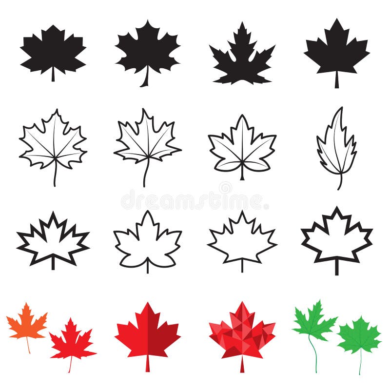 Maple leaf icons isolated on a white background