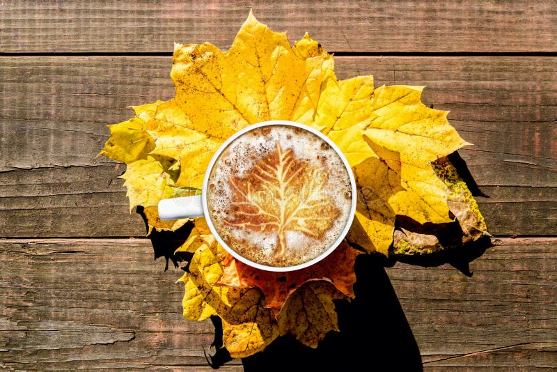 Maple Leaf Latte Art on Arranged Leaves and Wood Surface Stock Image