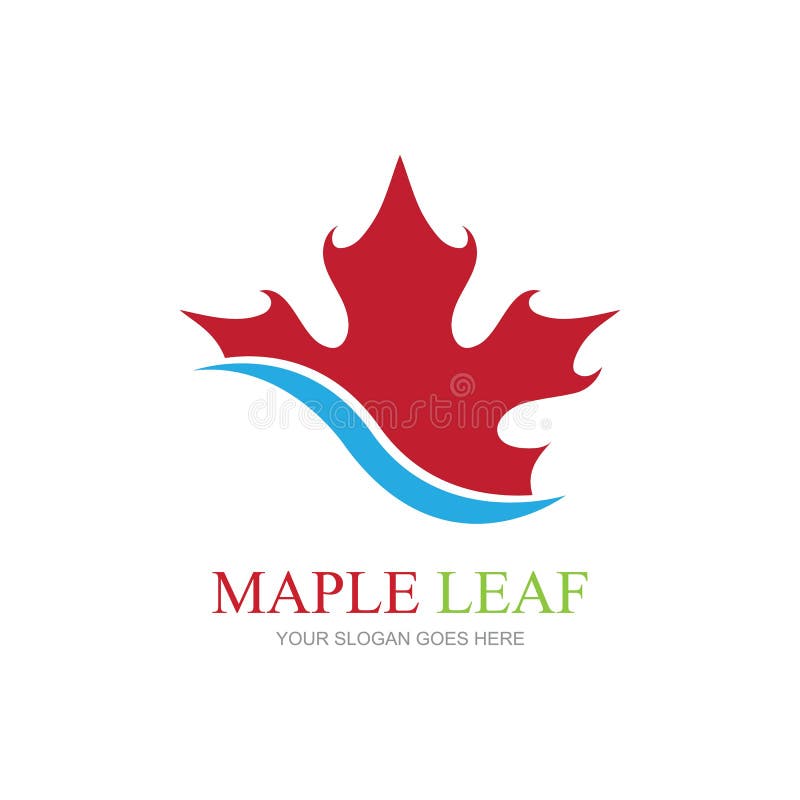 Maple Leaf Logo Template Vector Icon Illustration, Maple Leaf Vector