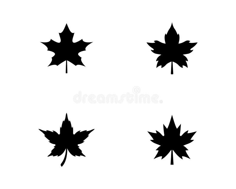 Maple leaf logo template vector icon illustration