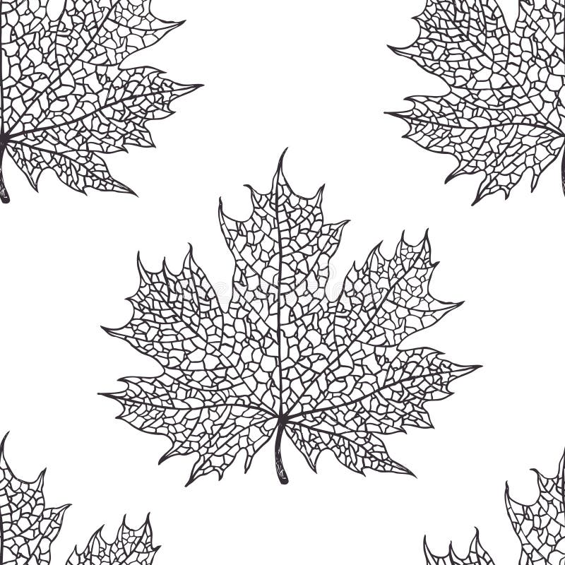 Maple leaf pattern