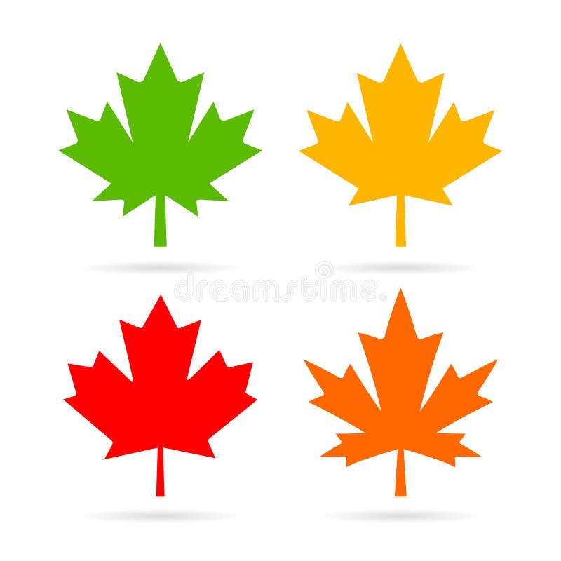 Maple leaves vector icons set. Maple leaf canada cartoon vectors