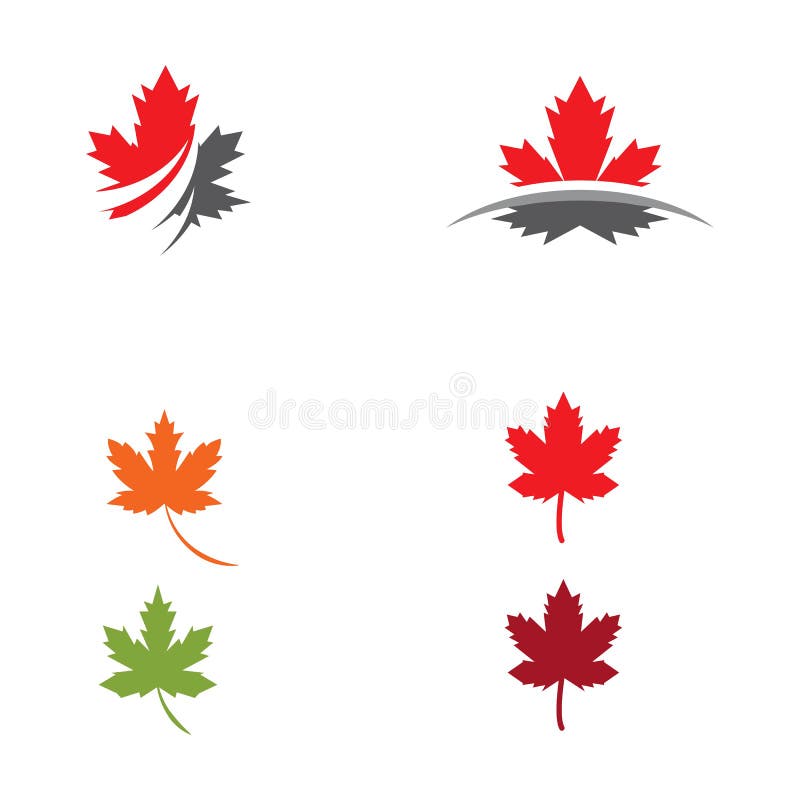 Maple Leaf Vector Illustration Stock Vector - Illustration of graphic