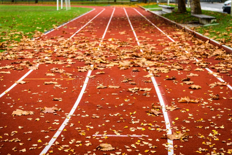 Maple leafs on athletic running track in stadium.