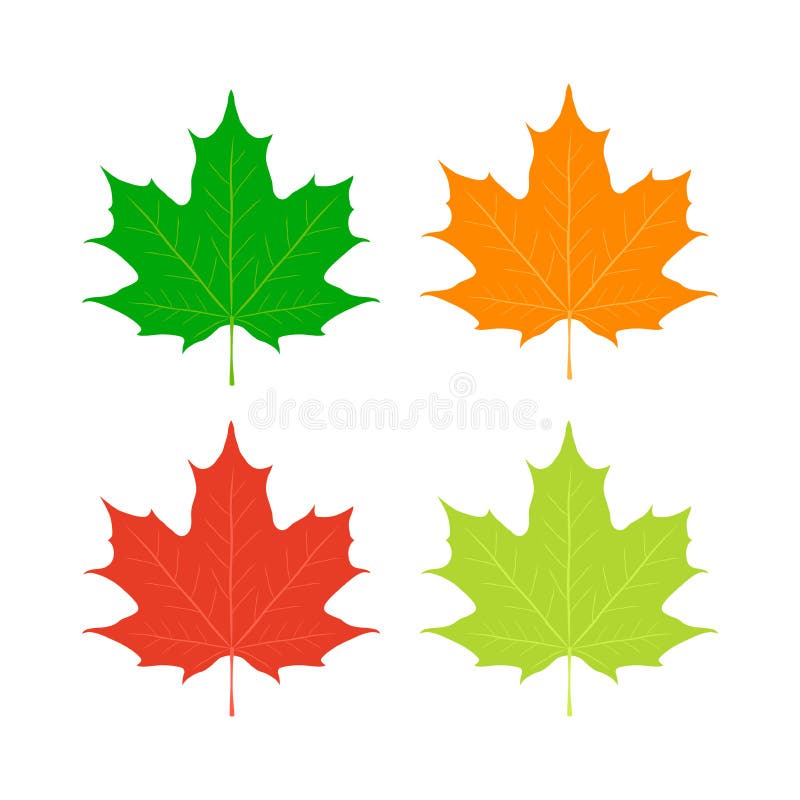Maple leaves, Canada symbol. Red, orange, yellow maple in cartoon flat style. Maple leaf canada cartoon vectors
