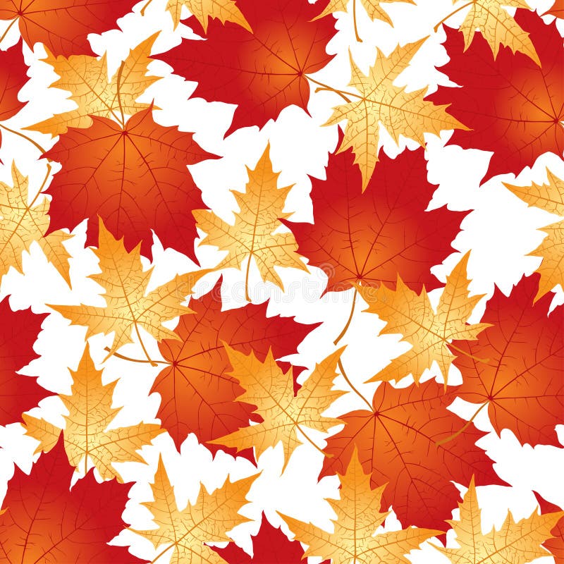 Maple Leaves Pattern Seamless Stock Vector - Illustration of contour ...