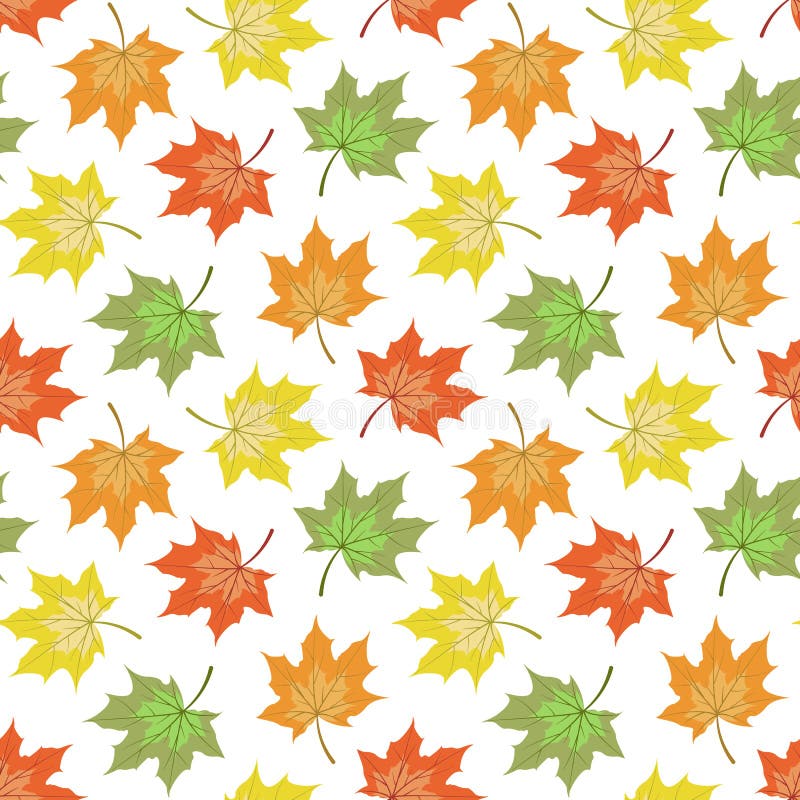 Maple Leaves Seamless Pattern. Stock Vector - Illustration of maple ...