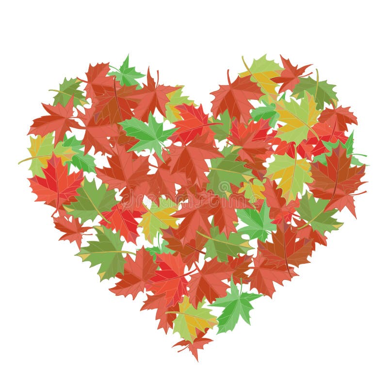 Maple Leaves In The Shape Of Heart Stock Vector Illustration Of