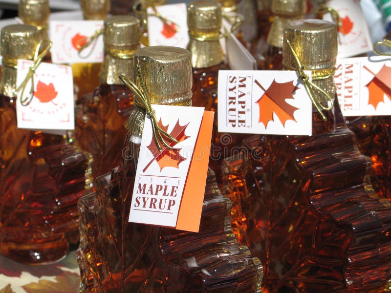 Maple Syrup royalty free stock photos