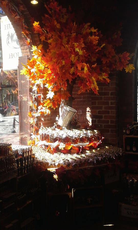 Maple Syrup Display editorial image. Image of quebec 52614430